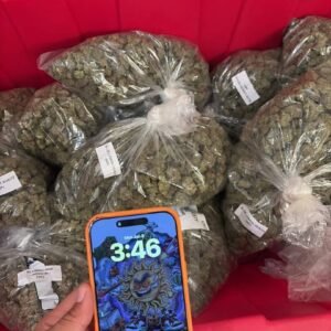 Peanut Butter Breath Strain | Hybrid Flower | Solargashop
