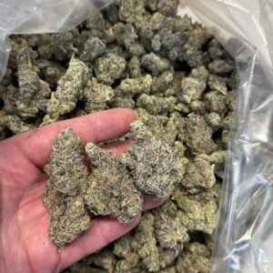 peanutbutter strain